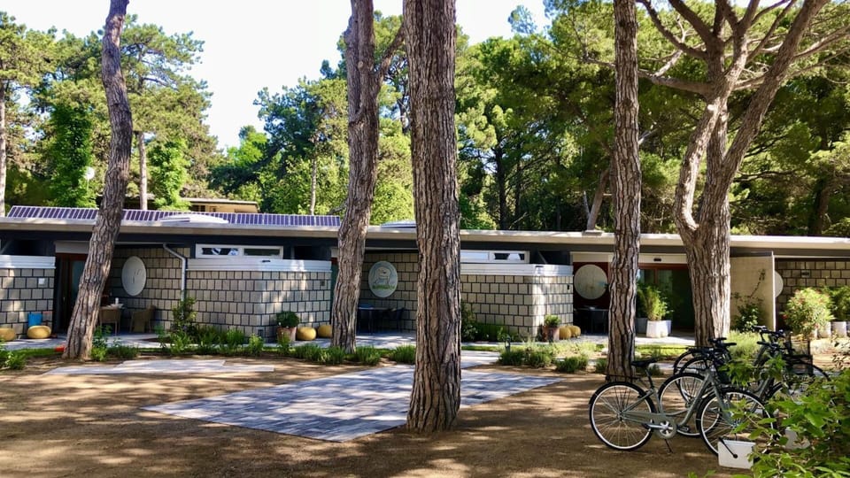 Seafront Apartments1 D'Olivo al Mare Apartment in Lignano Sabbiadoro
