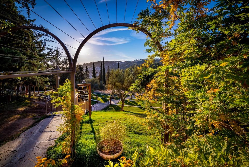Spring, Day, Natural landscape, Garden, View (from property/room), Garden view, Mountain view, Area and facilities
