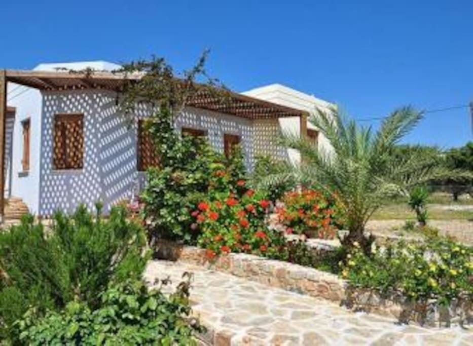 Olga Studio Kouremenos Apartment in Lasithi