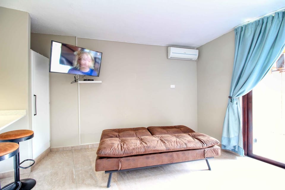 TV and multimedia, air conditioner