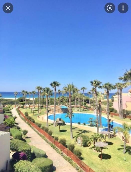 Natural landscape, Garden, Swimming pool