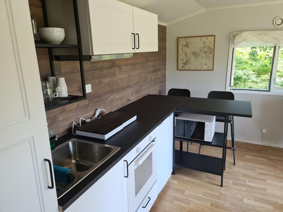 Kitchen or kitchenette, Living room, Dining area, minibar, pet friendly, stove