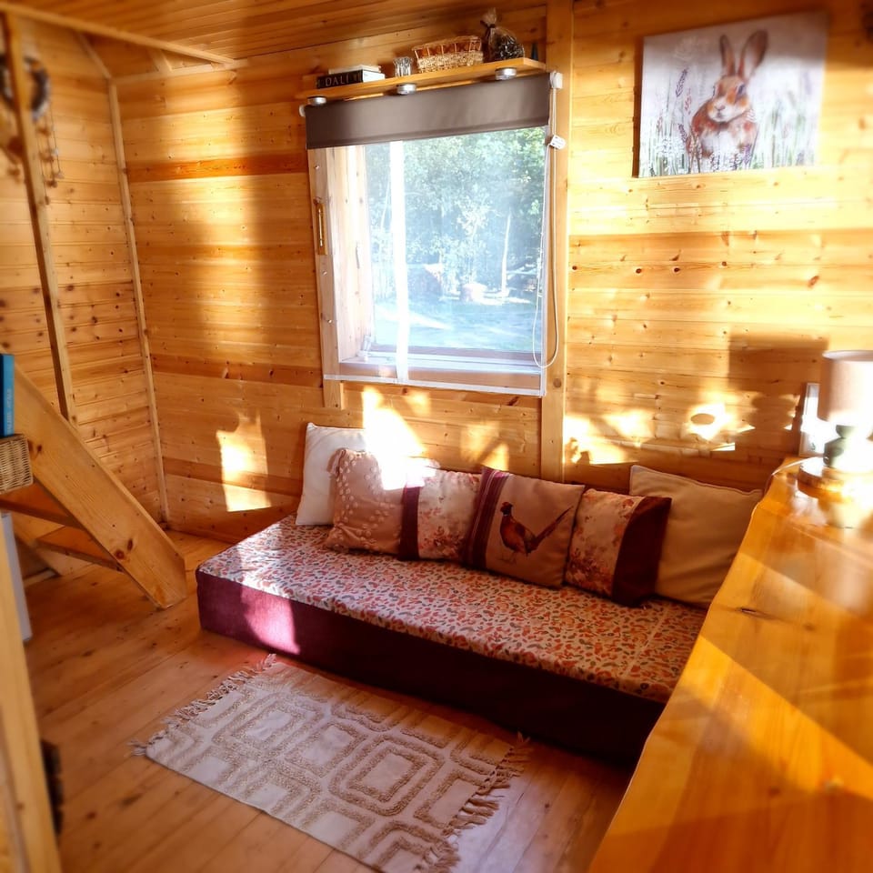 Mini saunahouse House in Latvia