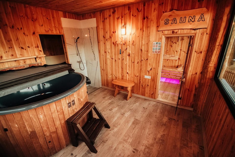 Casa Cristian House in Romania