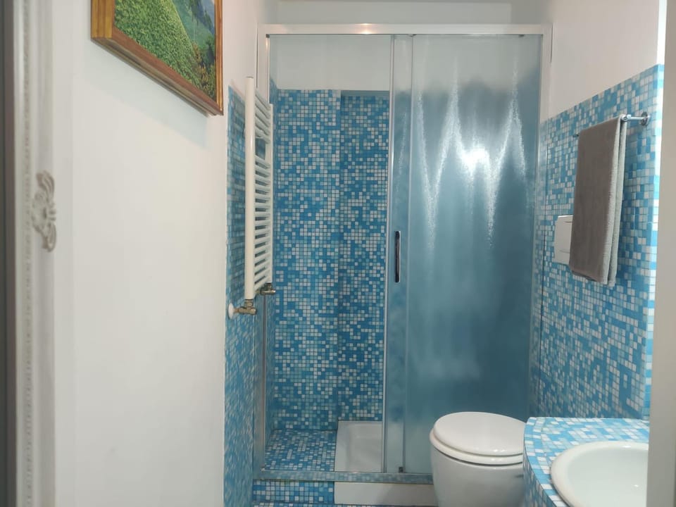 Shower, Toilet, Bathroom, bidet
