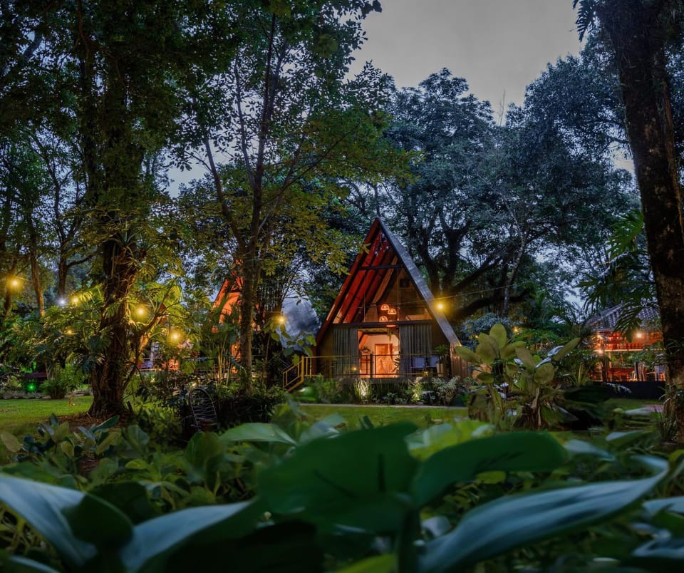 Natural landscape, Garden view