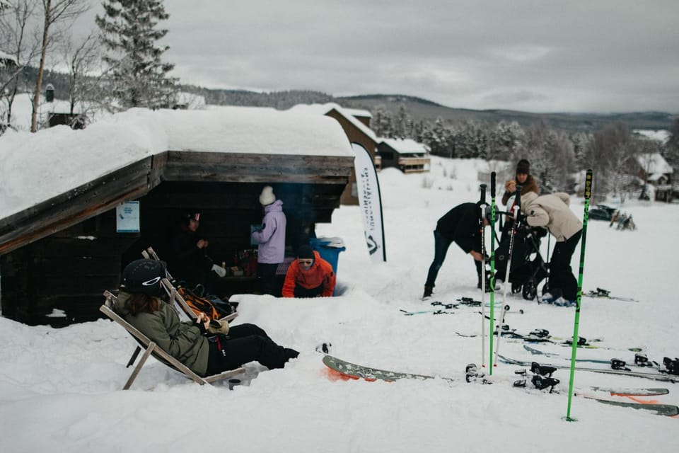 Day, People, Winter, Skiing, group of guests