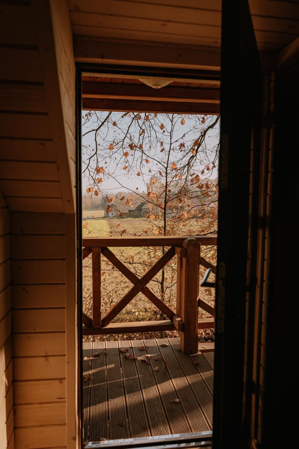 Property building, Natural landscape, View (from property/room), Garden view