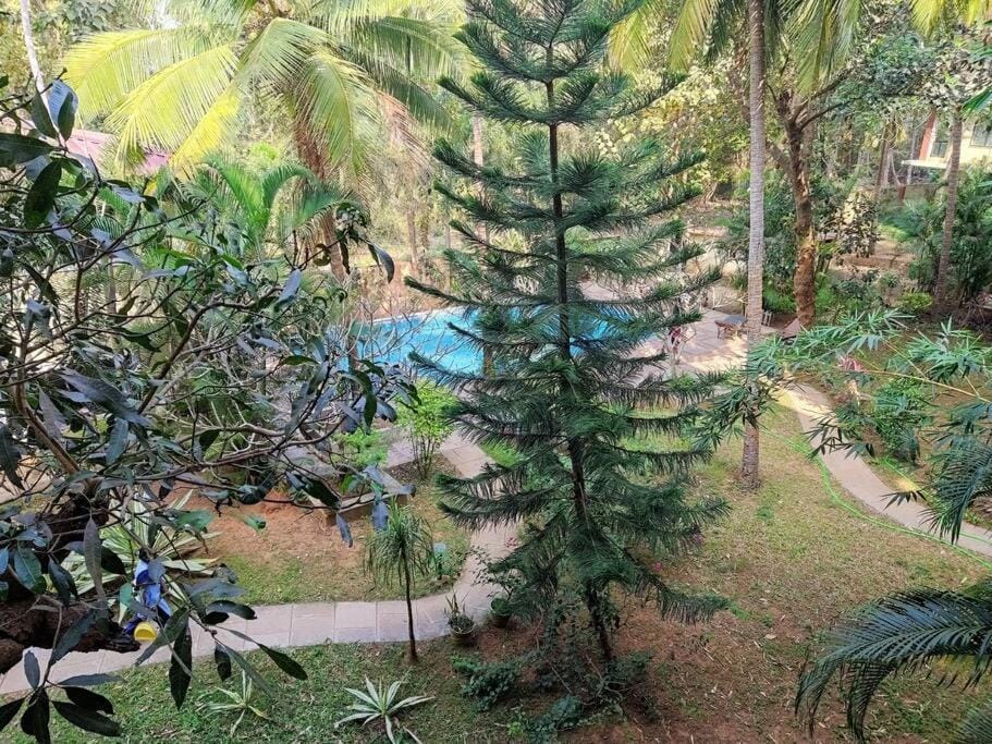 Palolem Comfy and Cozy Apartment Apartment in Canacona