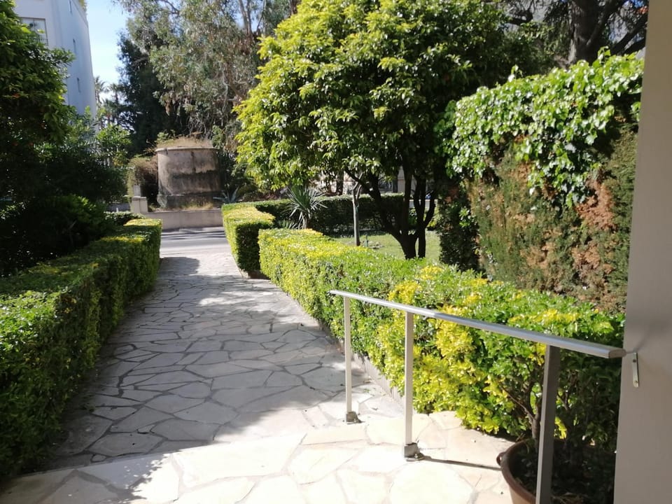 Spring, Garden