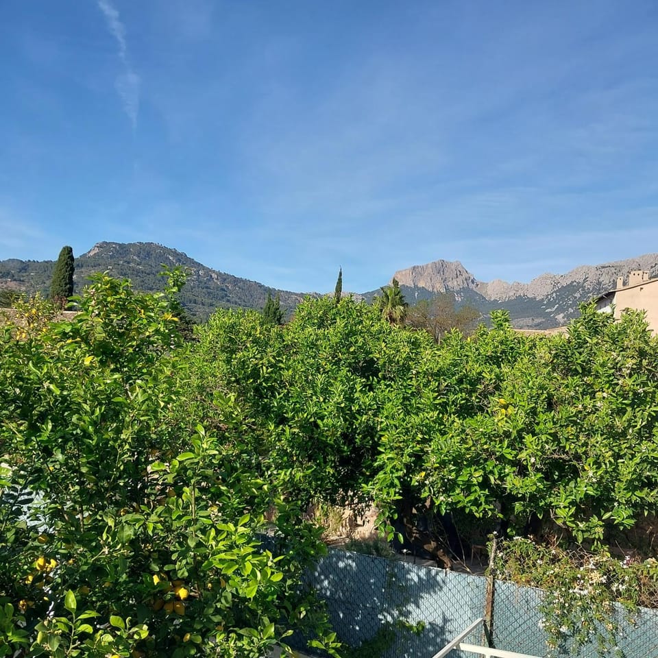 View (from property/room), Mountain view