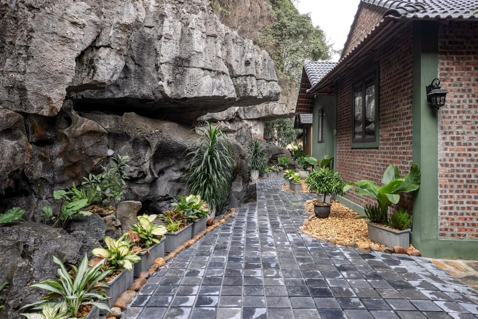 Day, Natural landscape, Garden
