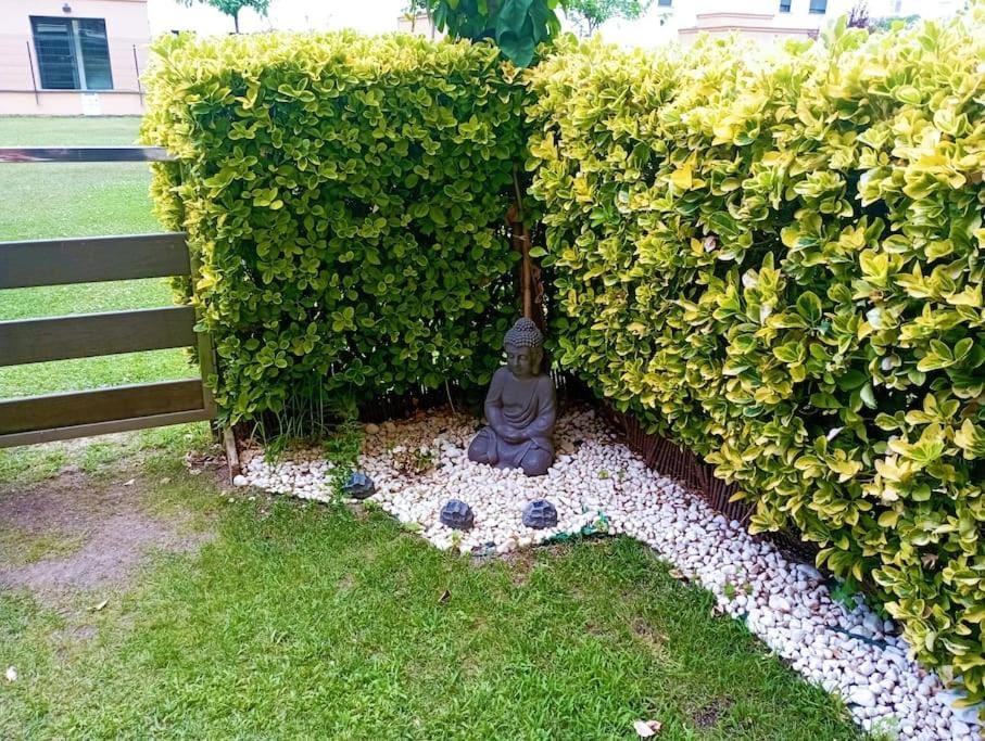 Garden, Garden, Garden view