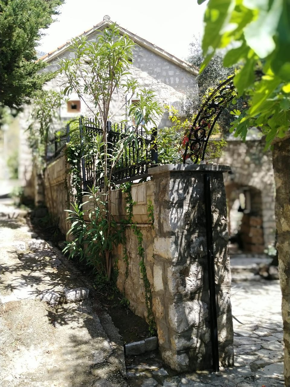 Property building, Garden view