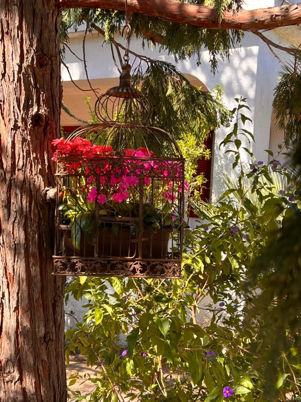 Villa Anna House in Apulia