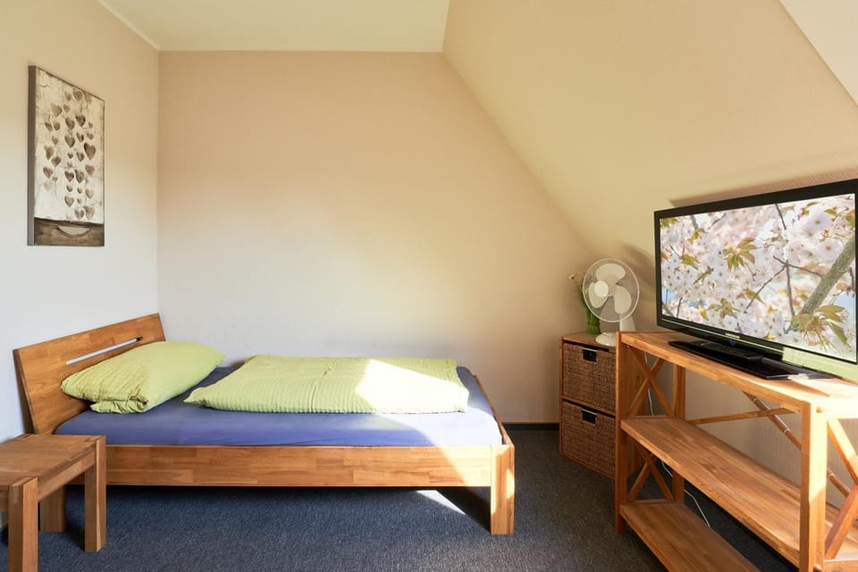 Bed, TV and multimedia, Photo of the whole room, Bedroom