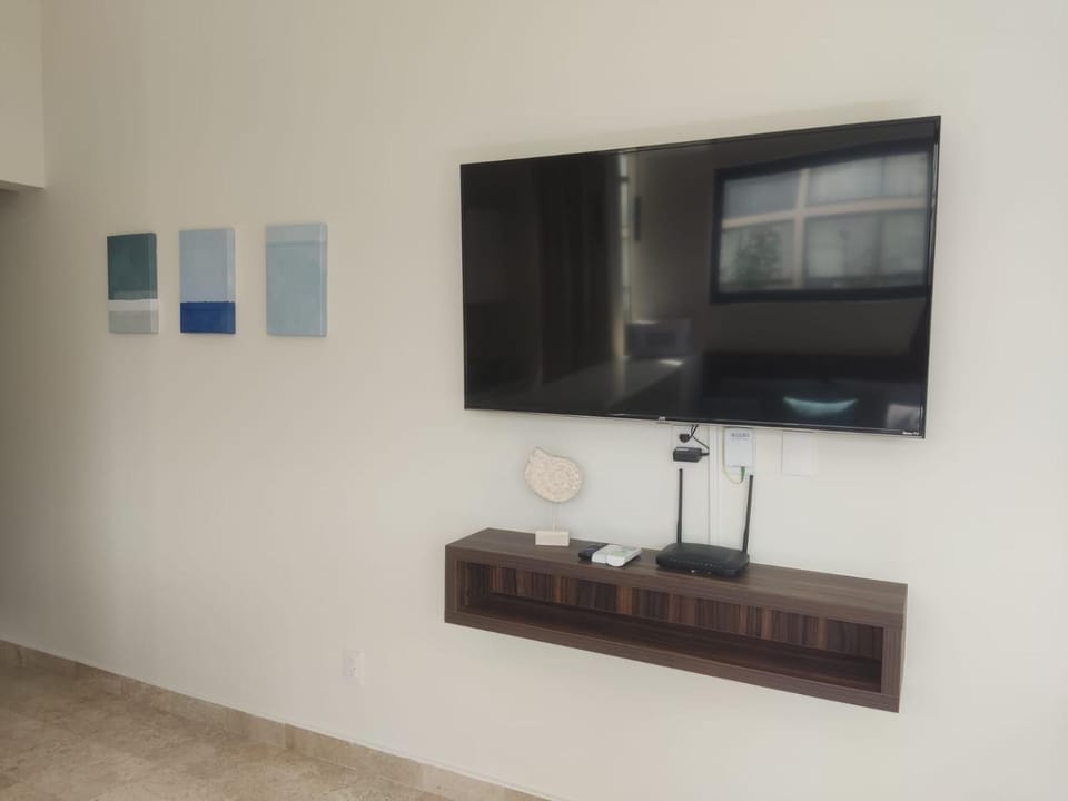 TV and multimedia