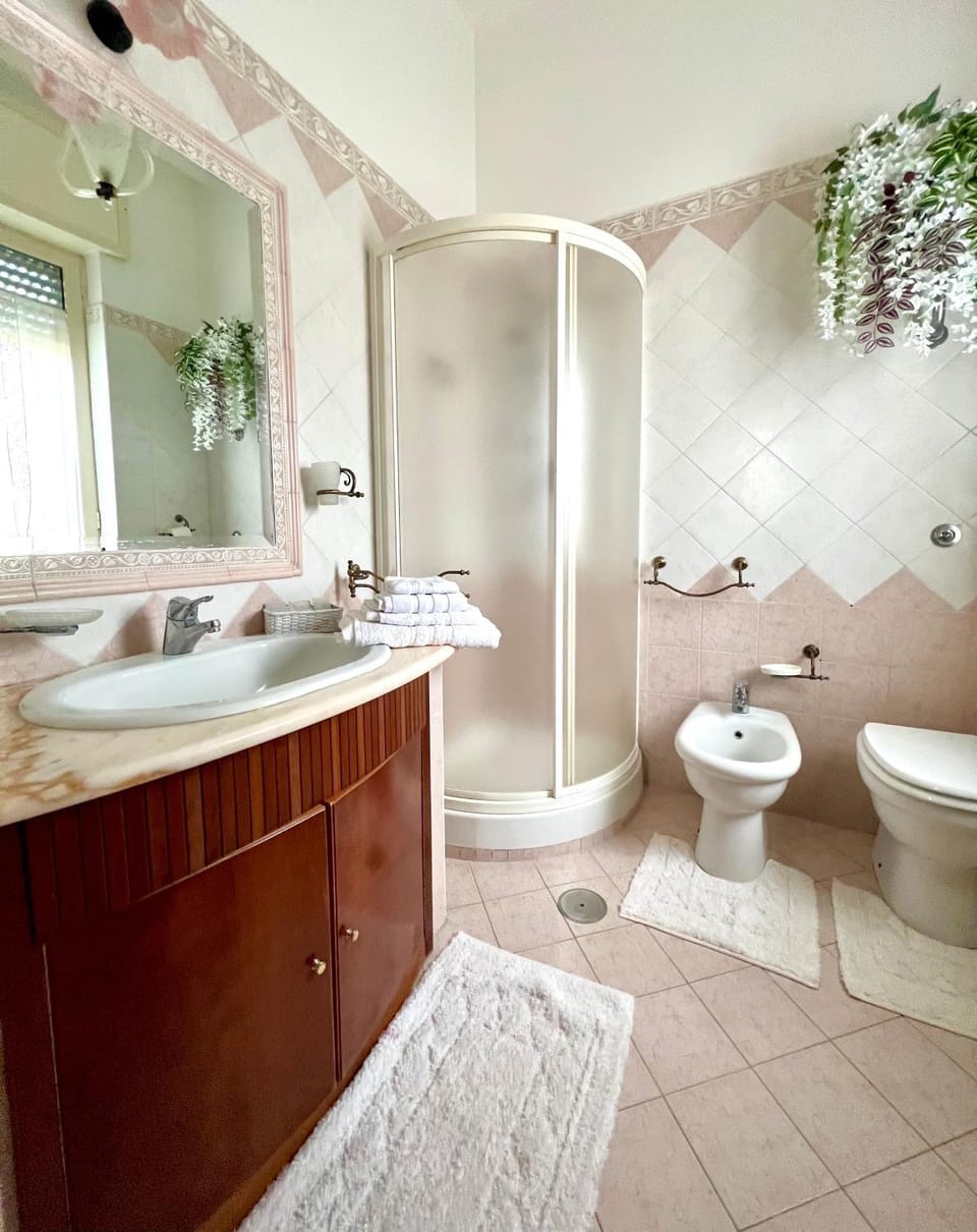 Shower, Toilet, Bathroom, bidet