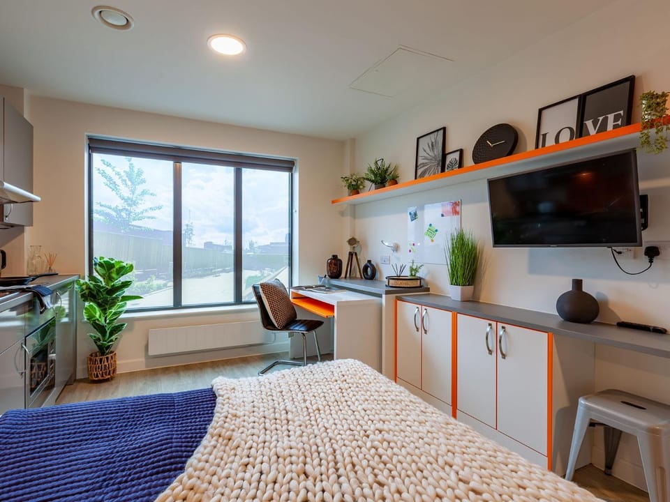 Photo of the whole room
