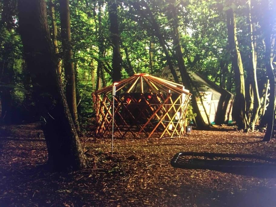 Magical Forest yurt Luxury tent in City of Canterbury