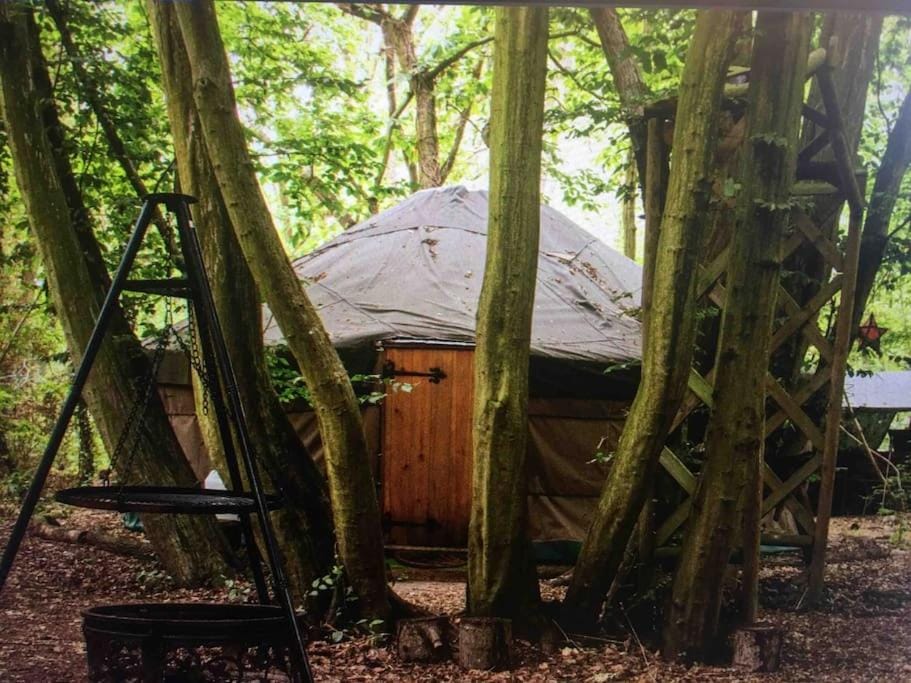 Magical Forest yurt Luxury tent in City of Canterbury