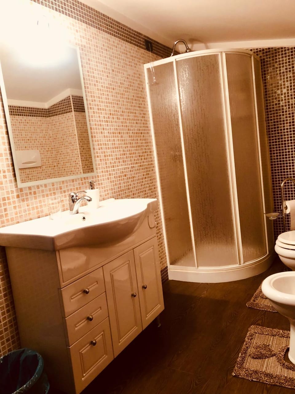 Shower, Toilet, Bathroom, bidet