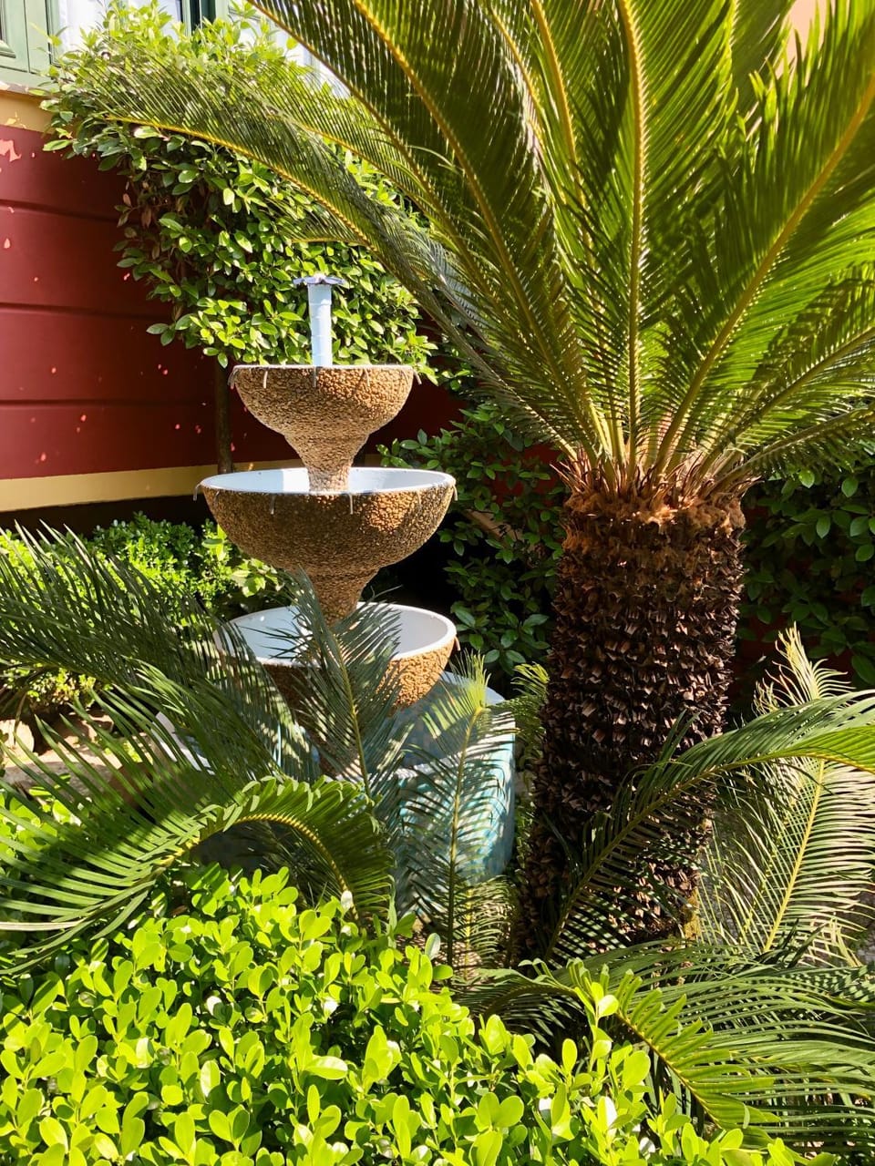 Property building, Garden, Garden view