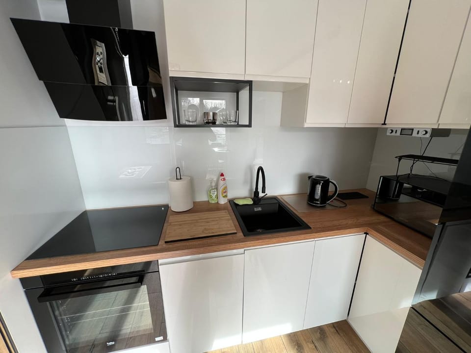 Kitchen or kitchenette, dishwasher, minibar, pet friendly, stove