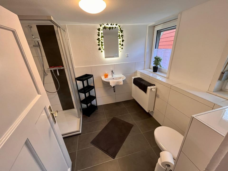 Shower, Toilet, Bathroom, washing machine