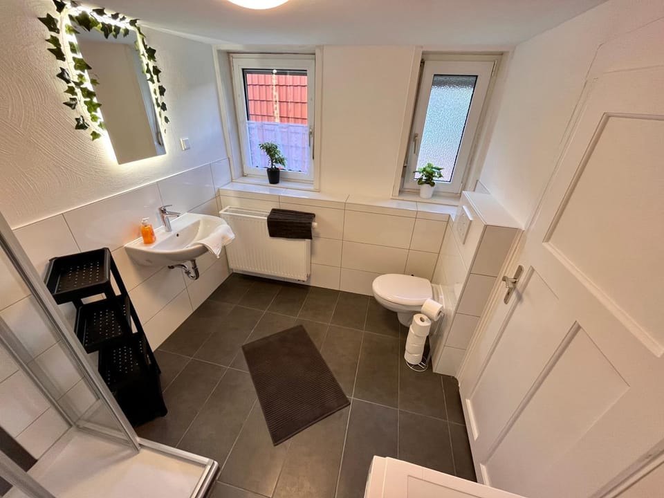 Toilet, Bathroom, towels