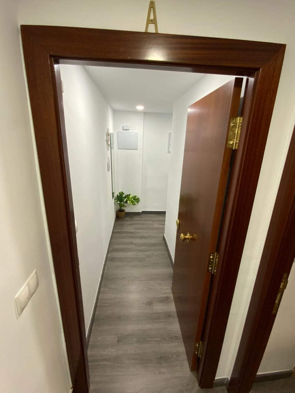 Reina Apartamentos Apartment in Malaga