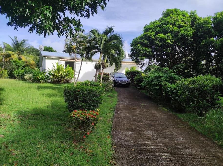 Garden, Garden view, Parking