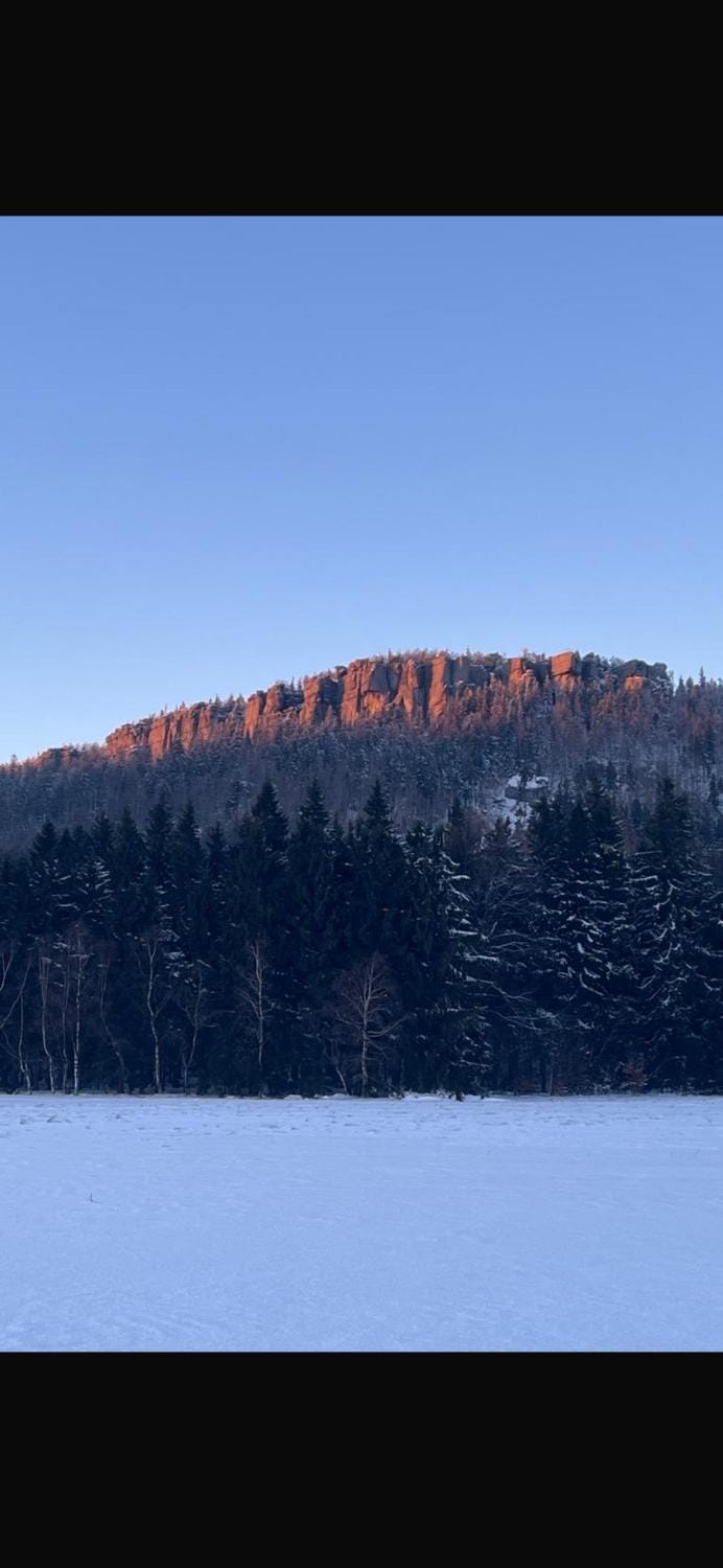 Domek w Lesie Bed and Breakfast in Lower Silesian Voivodeship