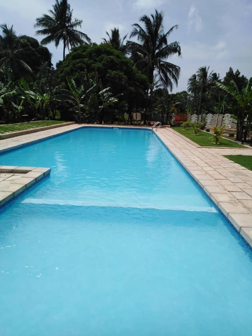 Garden, Swimming pool
