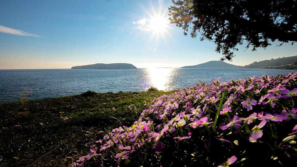 Day, Sea view