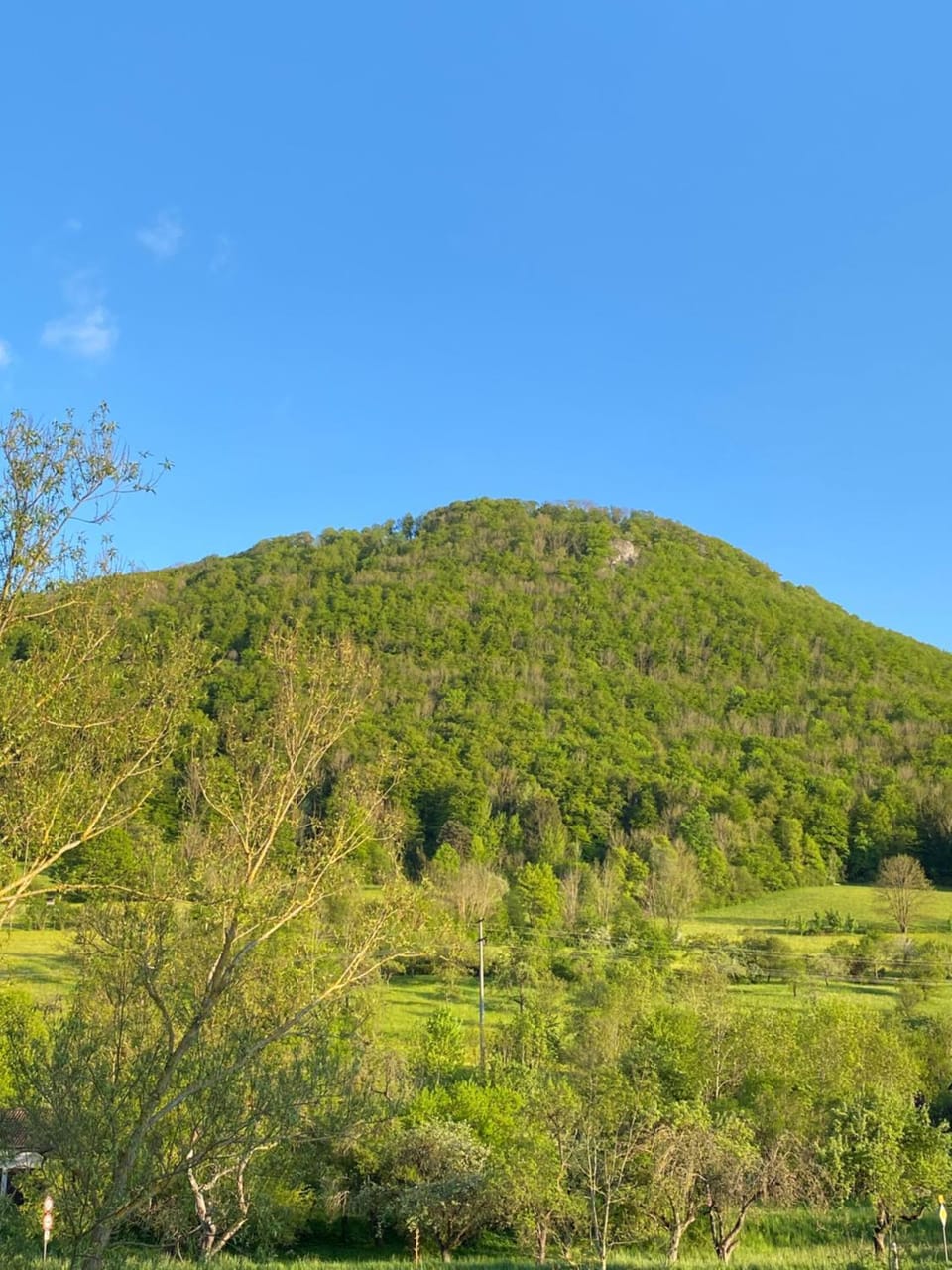 Mountain view