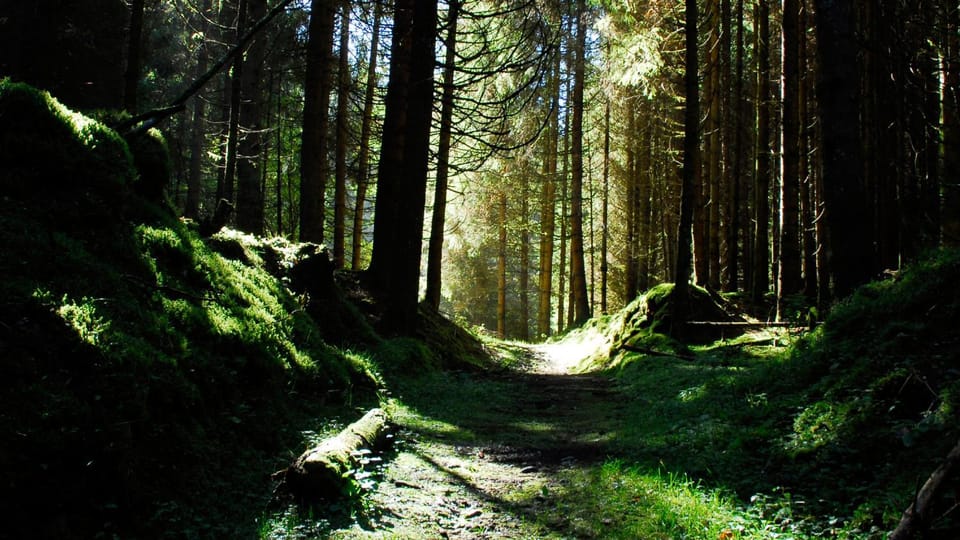 Nearby landmark, Natural landscape