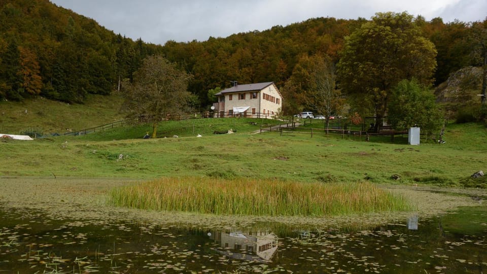 Agribed Quierta - Camere Matrimoniali Farm Stay in Friuli-Venezia Giulia