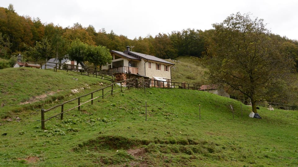 Agribed Quierta - Camere Matrimoniali Farm Stay in Friuli-Venezia Giulia