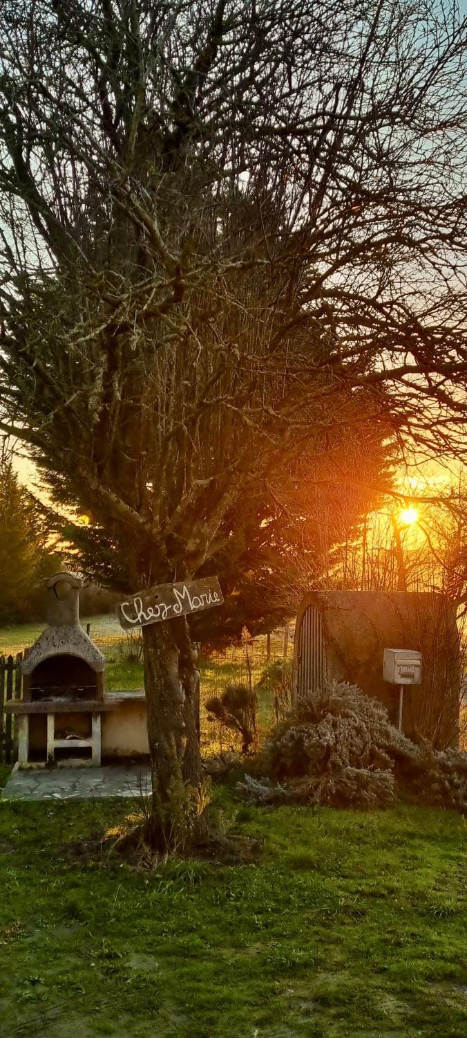 Natural landscape, Garden, Garden view, Sunrise, Sunset