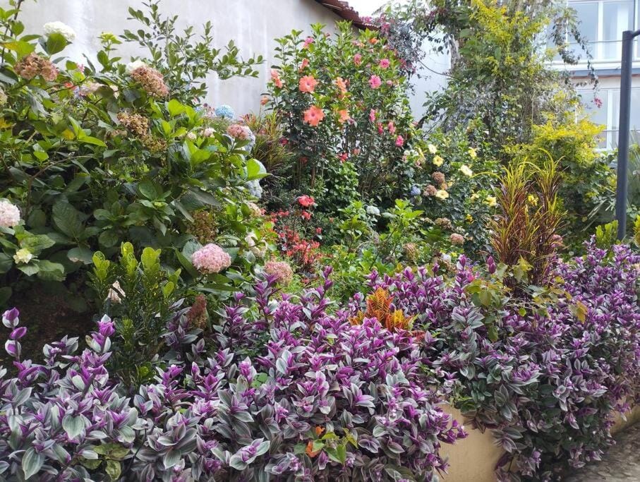Apto Nuevo, Tranquilo,Bonito,5 min Plaza Principal Apartment in Guatapé