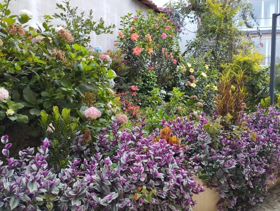 Apto Nuevo, Tranquilo,Bonito,5 min Plaza Principal Apartment in Guatapé