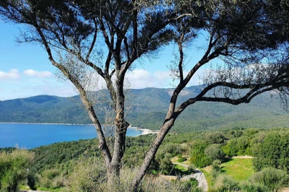 Nearby landmark, Natural landscape, Sea view