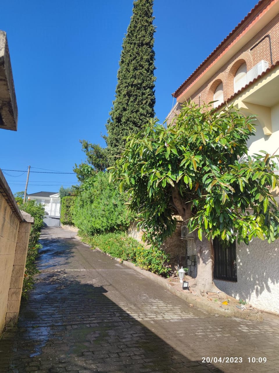 Property building, Day