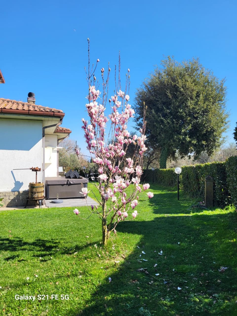 Fuori dal Borgo.... Apartment in Umbria