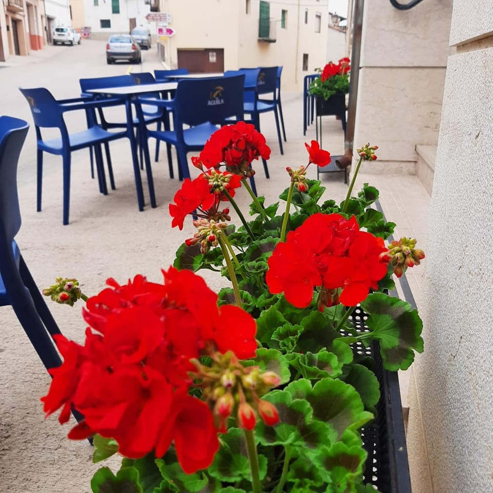 Restaurant/places to eat, Garden, Dining area