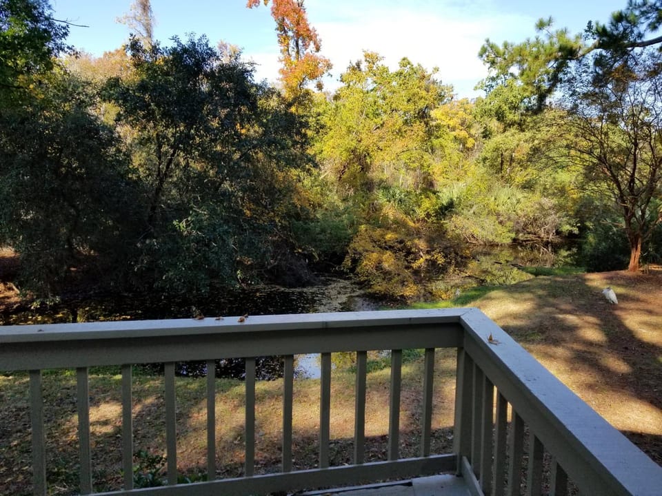 23 Night Heron House in Hilton Head Island
