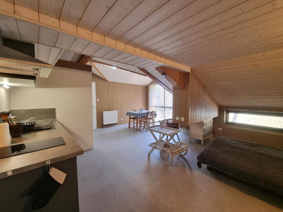Gîte spacieux avec cheminée et terrasse en forêt, animaux acceptés - FR-1-496-280 House in Auvergne-Rhône-Alpes