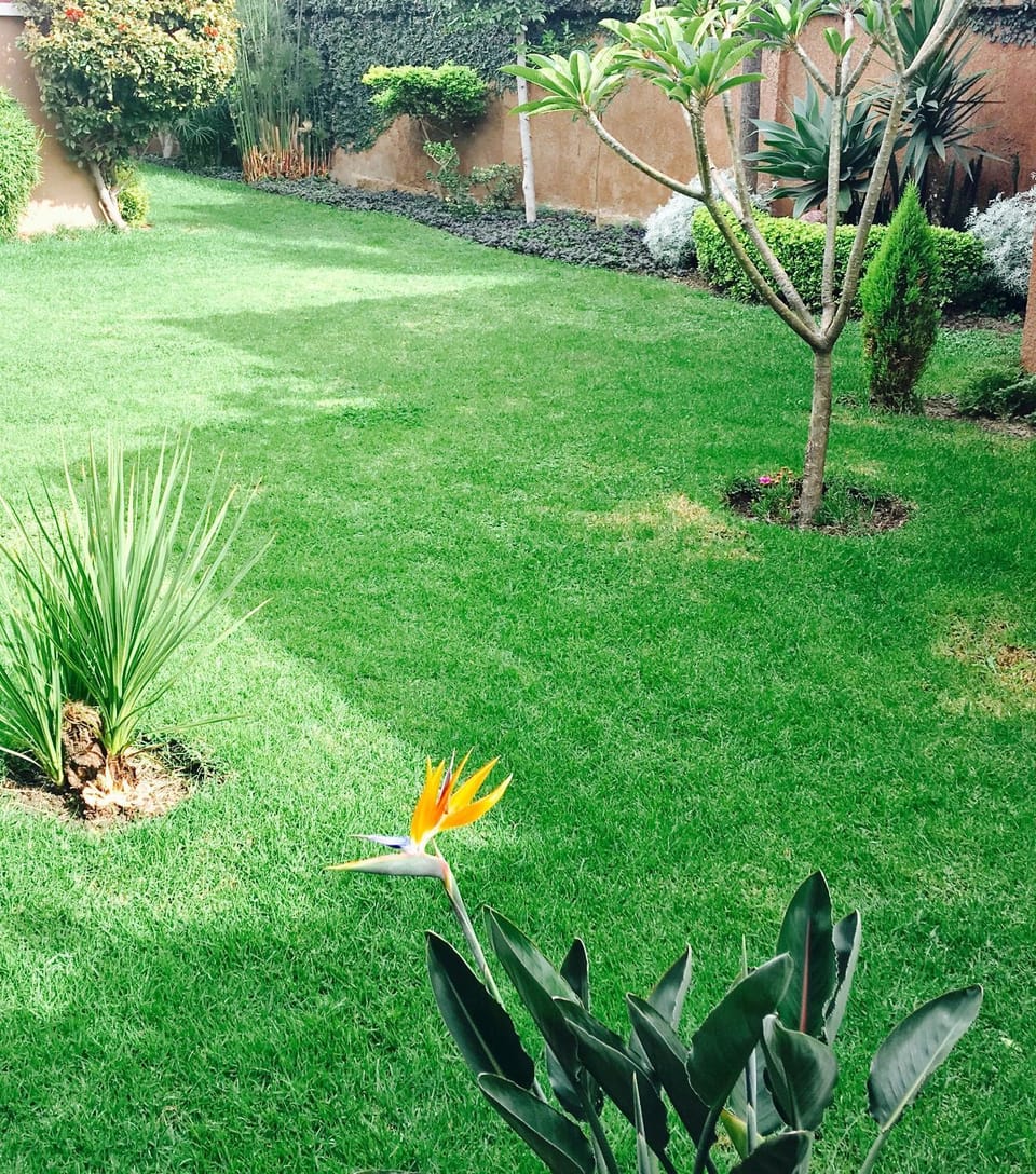 Apartamento Standard Apartment in Cochabamba