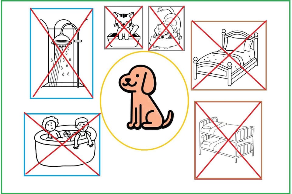 Animals, Animals, Pets, Pets, pet friendly, pet friendly